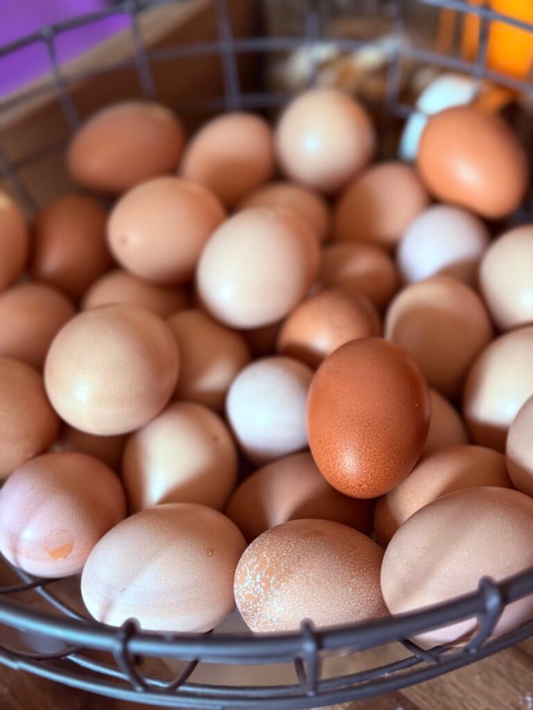 eggs, farmhouse eggs, 